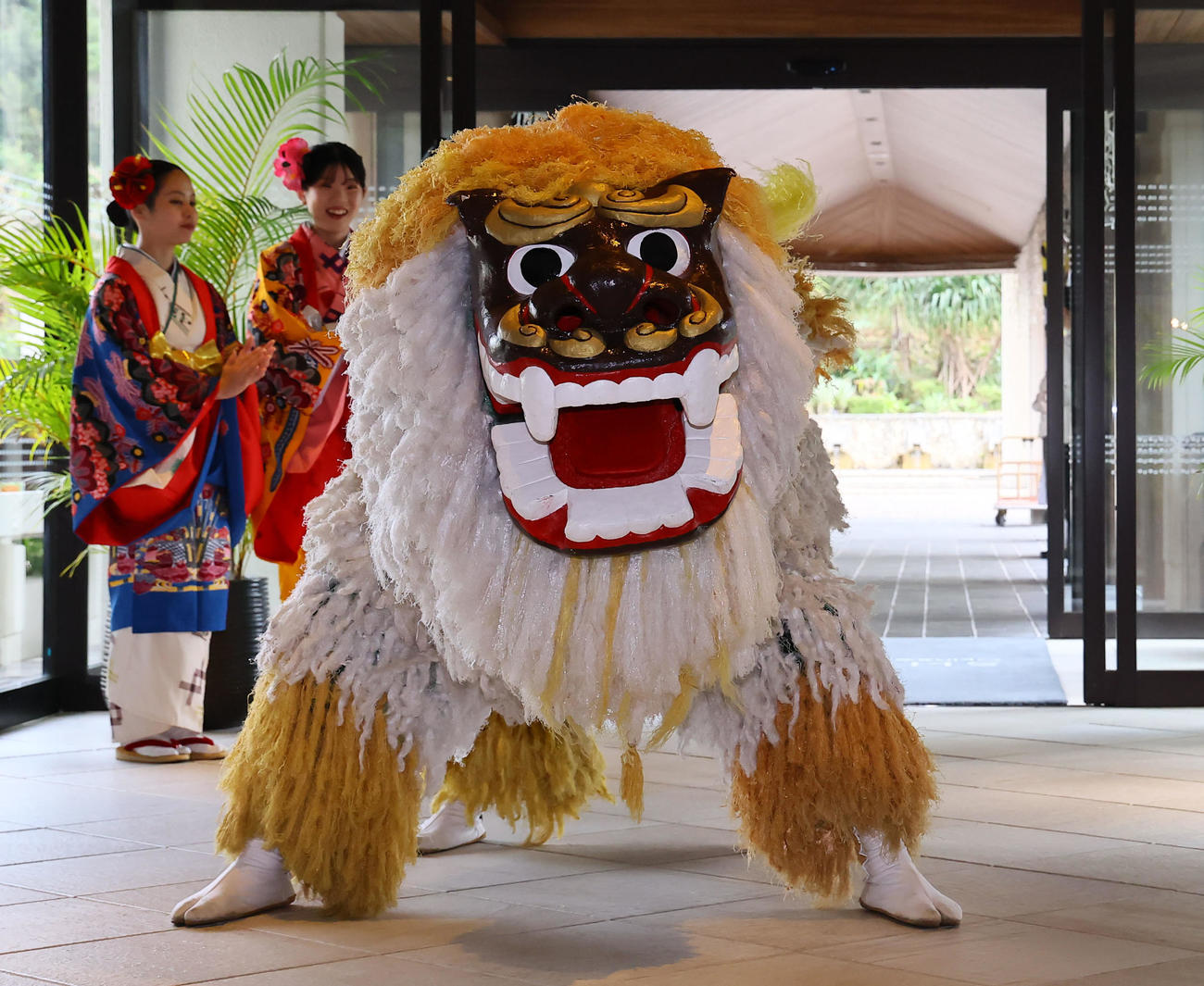 阪神の首脳陣を出迎える獅子舞（撮影・藤尾明華）