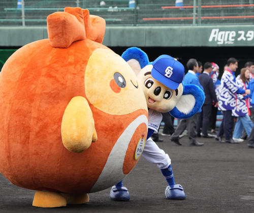 セレモニー後、ちーたんと相撲をとるドアラ（撮影・森本幸一）