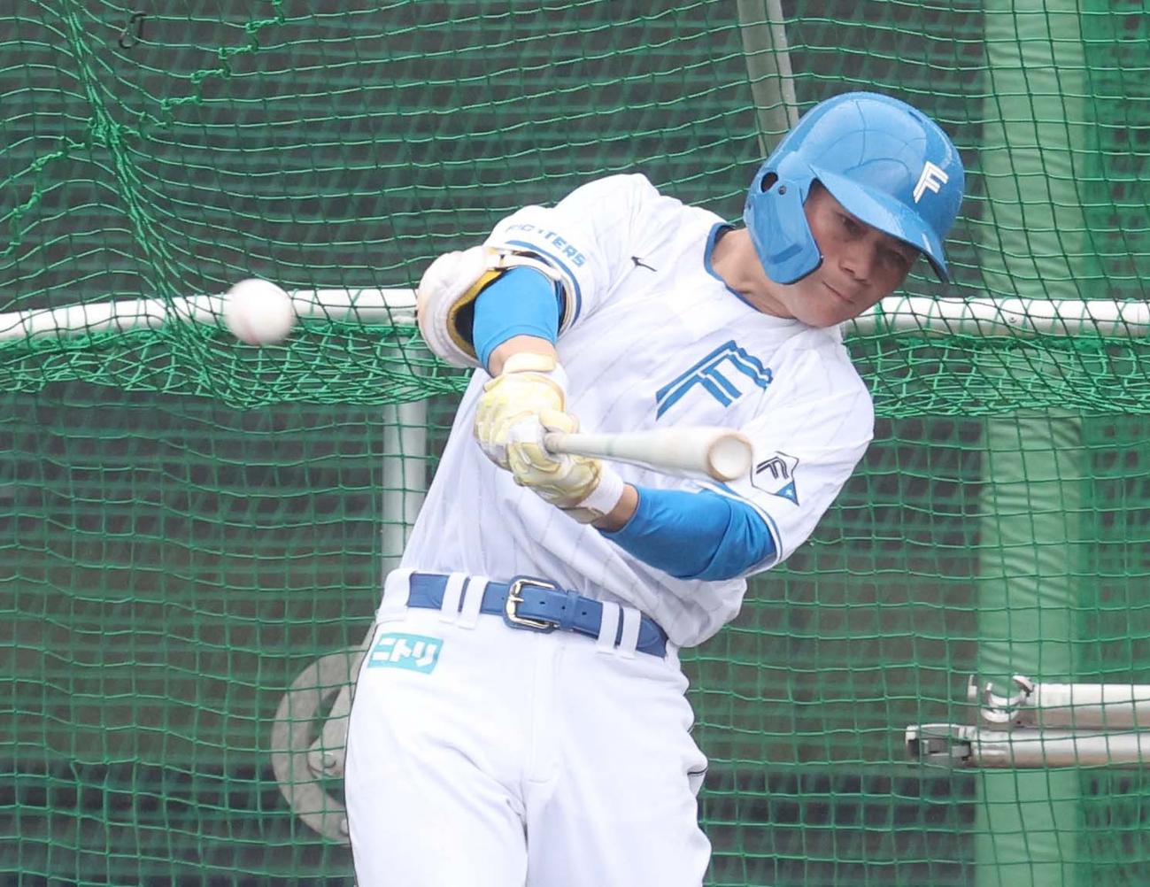 フリー打撃する日本ハム清宮幸（撮影・黒川智章）