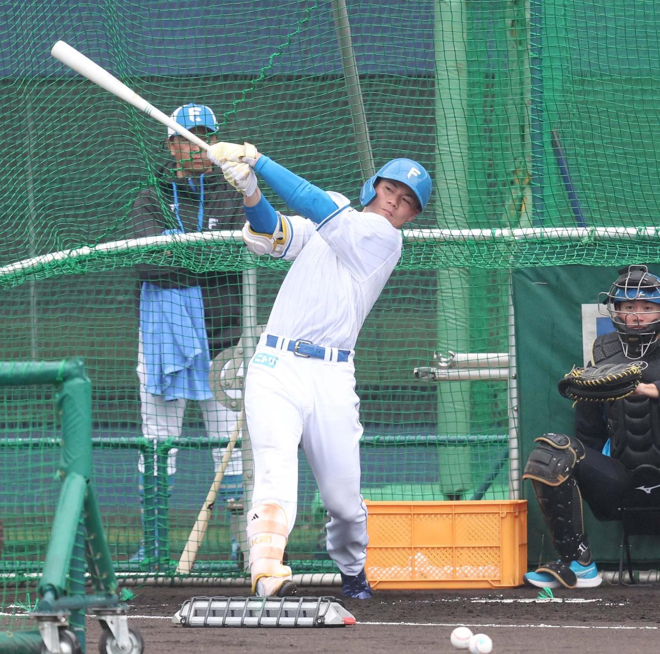 フリー打撃する日本ハム清宮幸（撮影・黒川智章）