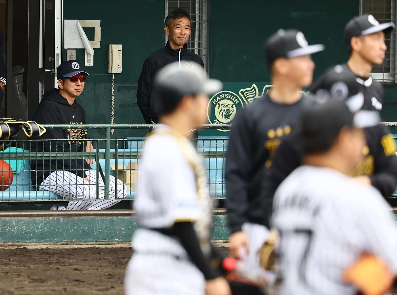藤川監督（左）はシートノックをベンチから見守る（撮影・上田博志）