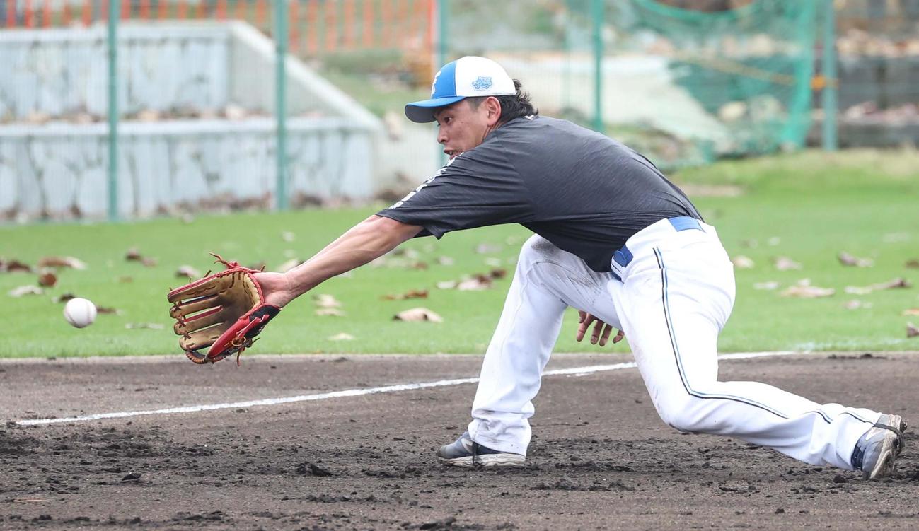 ノックを受ける日本ハム野村（撮影・黒川智章）