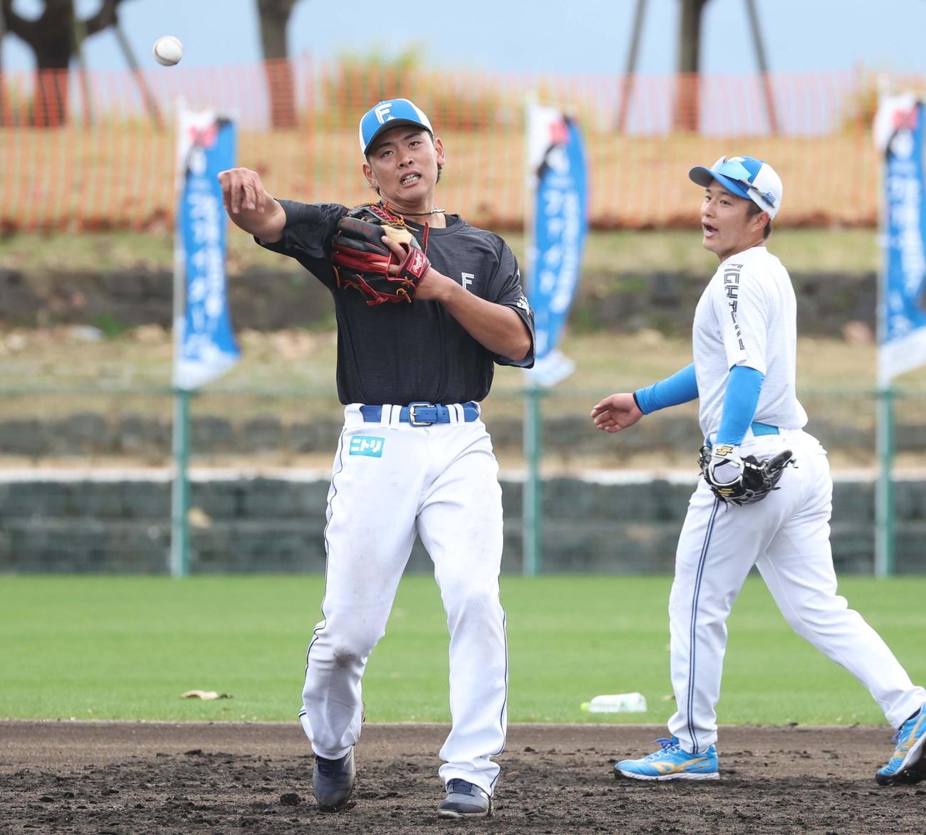 ノックを受ける日本ハム野村（撮影・黒川智章）