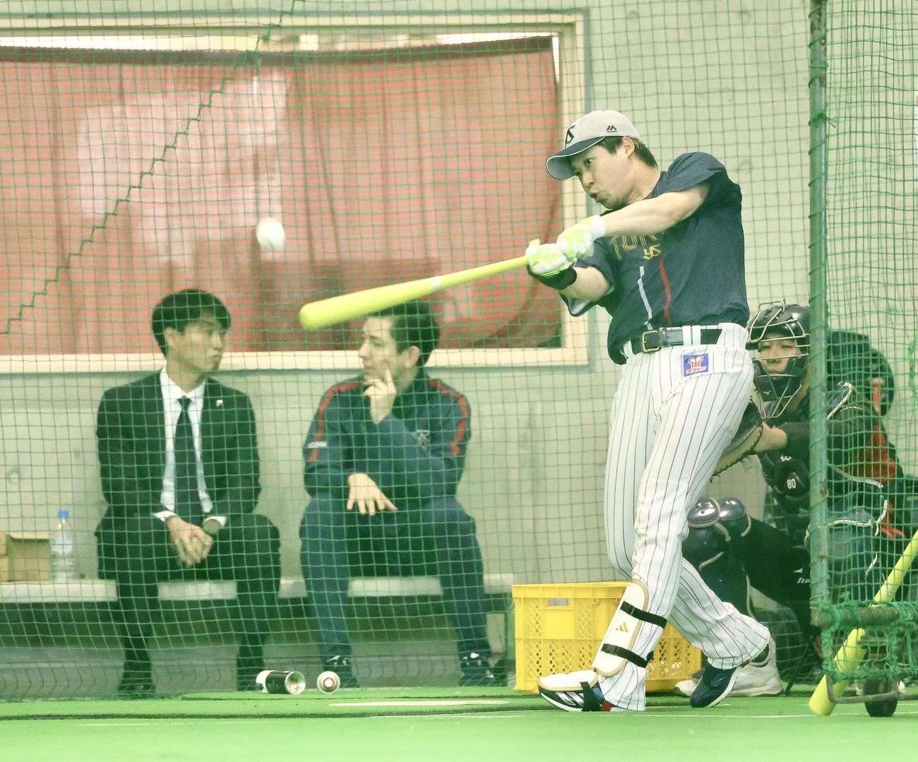 打撃練習するヤクルト山田（撮影・河田真司）