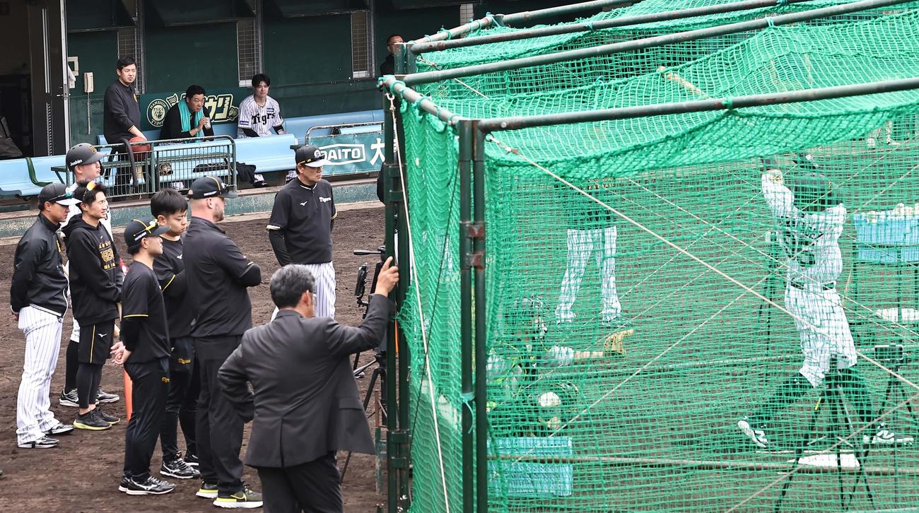 ベンチでラモン・ヘルナンデスの打撃練習を見る大山（中央）と中野（右）（撮影・上田博志）