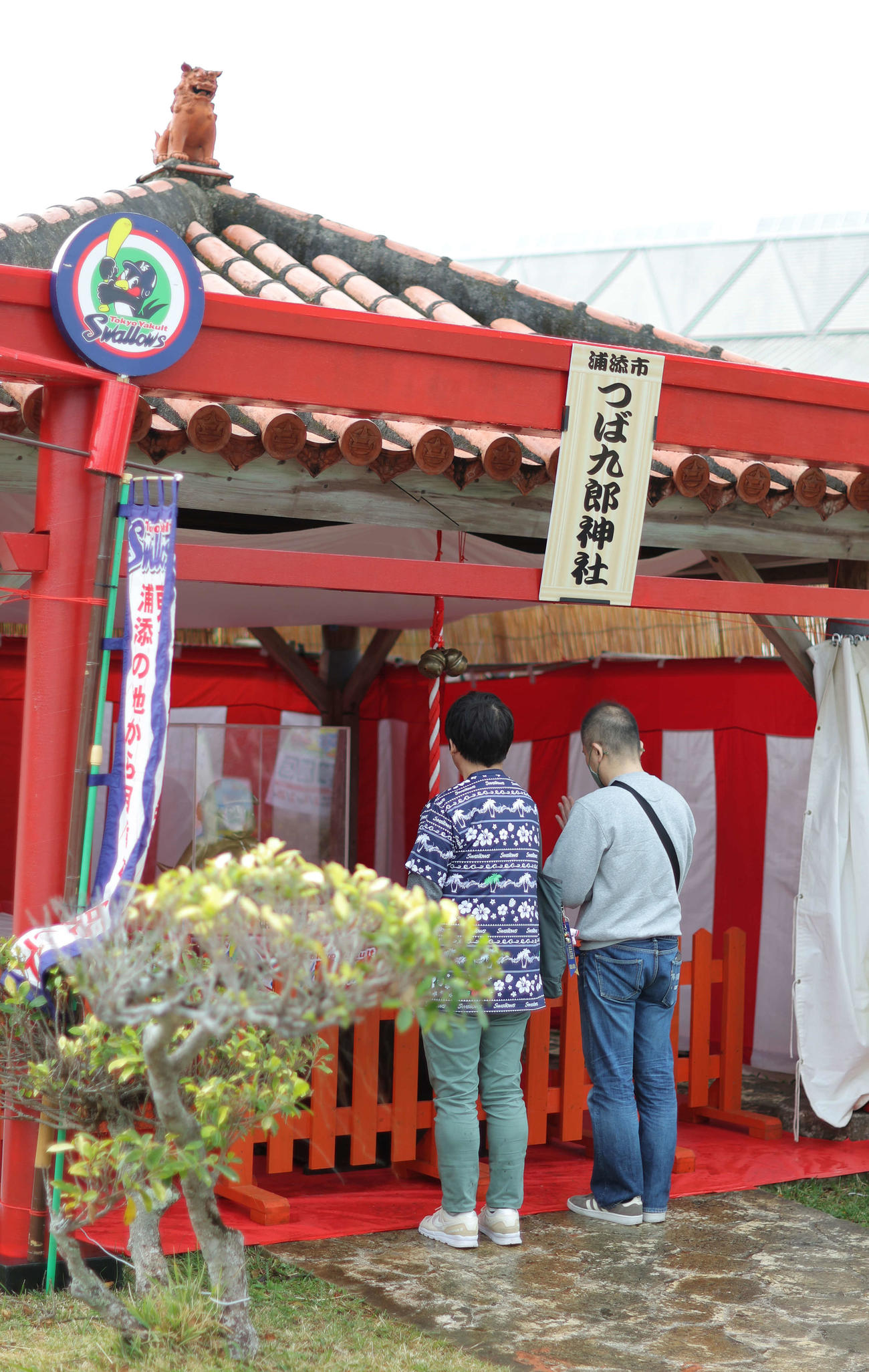 つば九郎神社で参拝するファン（撮影・河田真司）