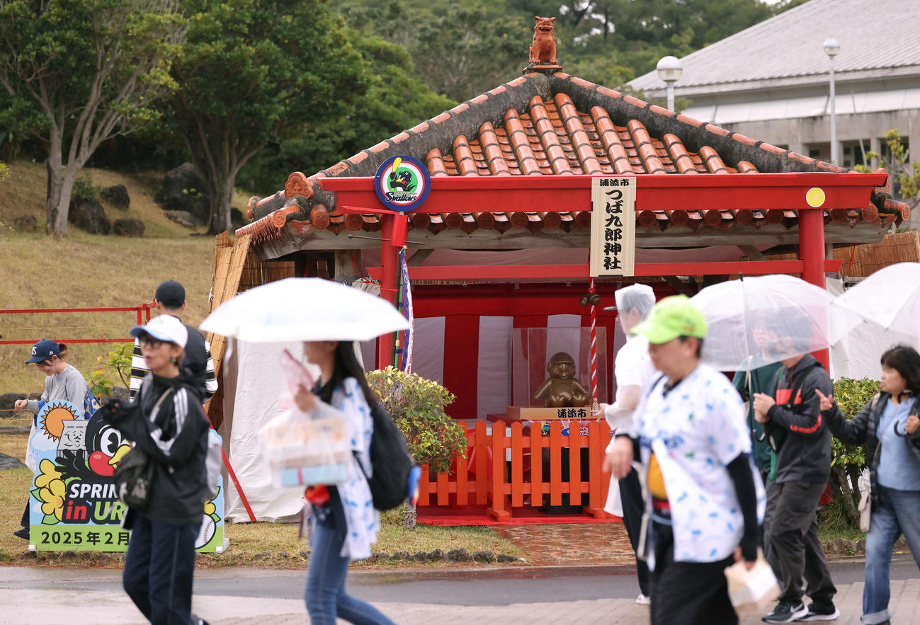 つば九郎神社前を多くのファンが行き交う（撮影・河田真司）