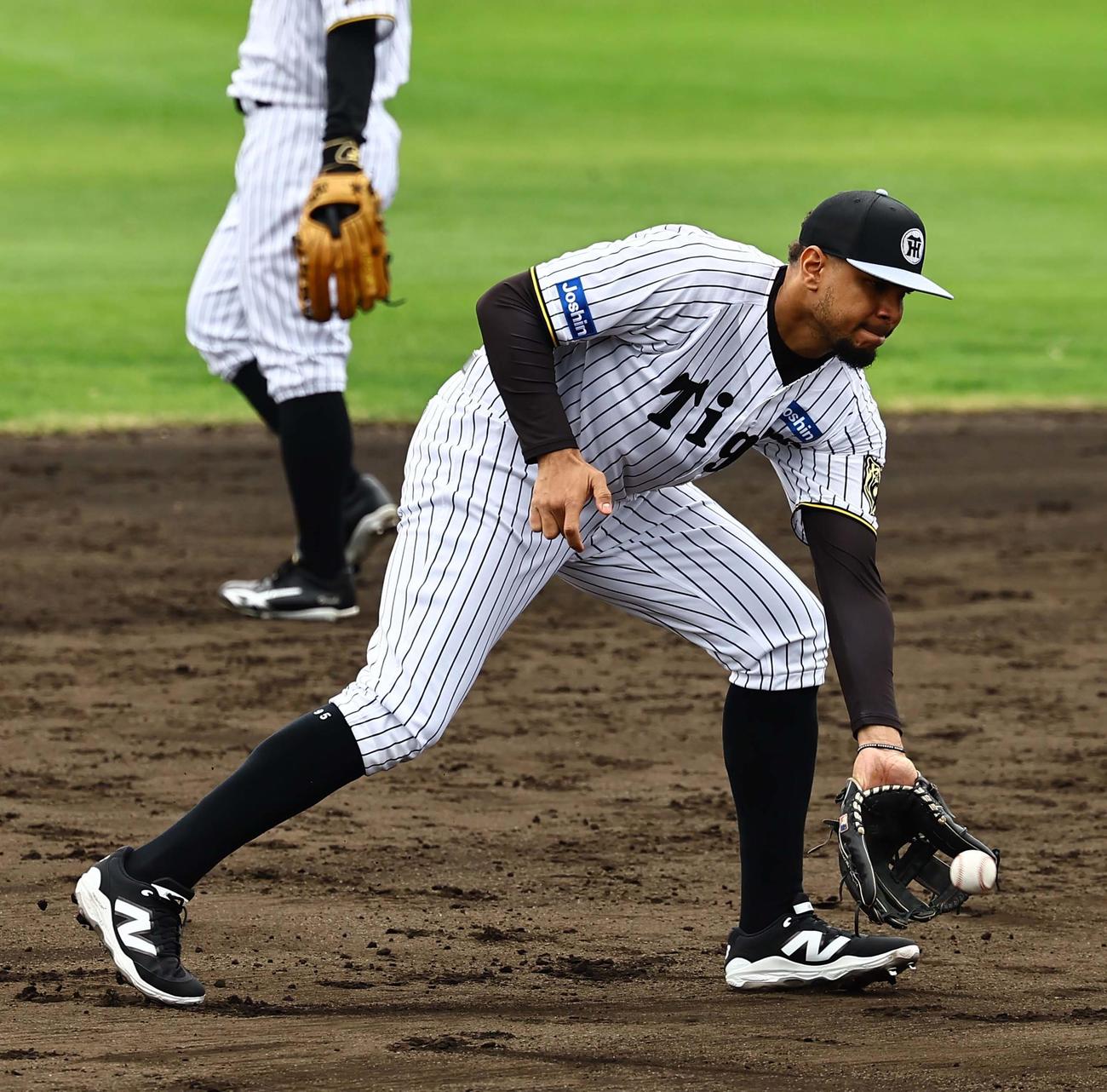 内野ノックを受けるヘルナンデス（撮影・上田博志）