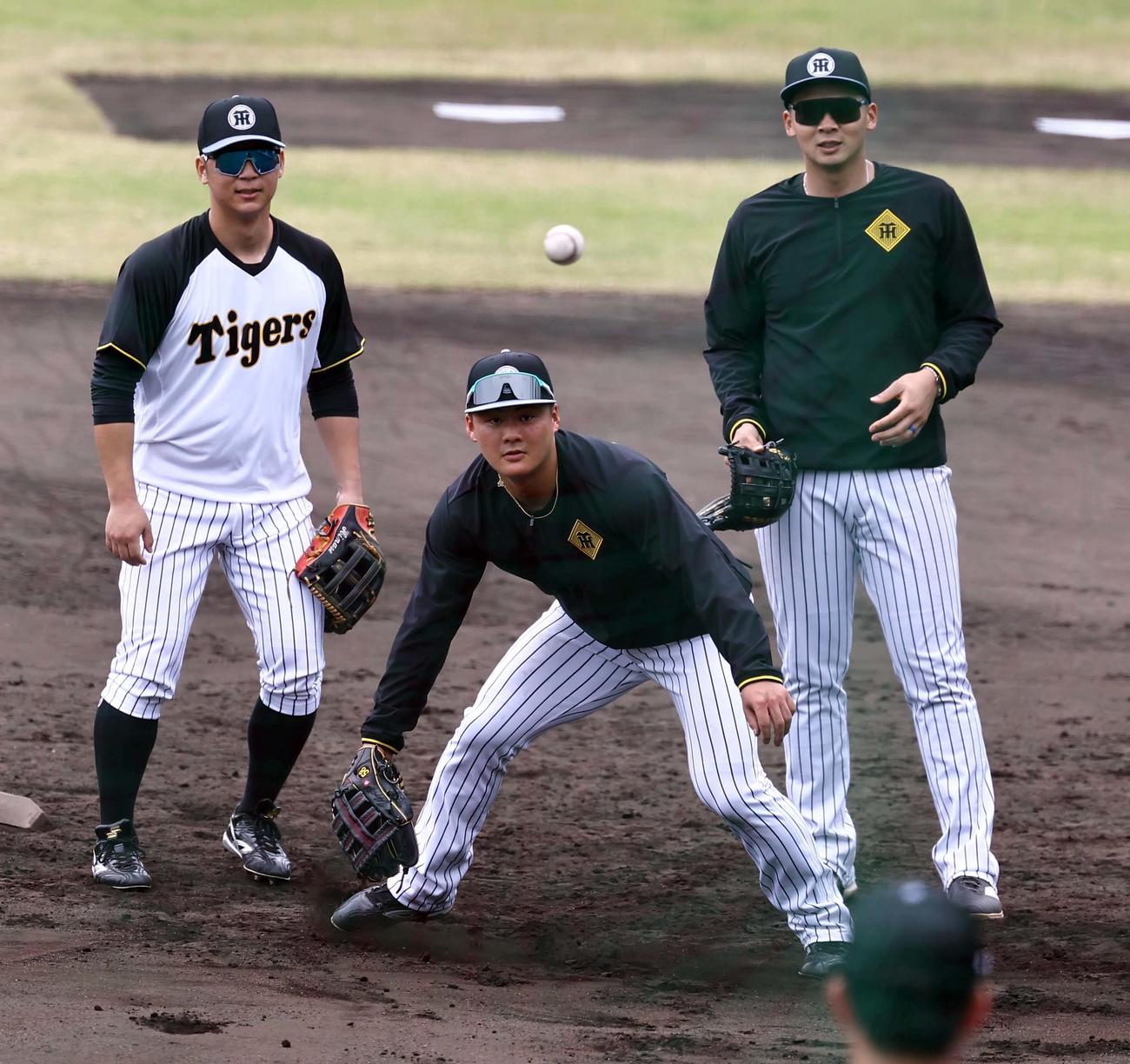 内野ノックを受ける左から井坪、前川、井上（撮影・上田博志）