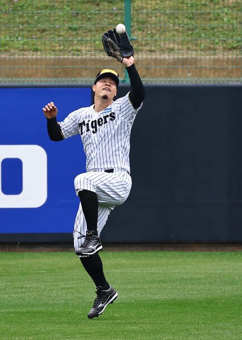 阪神】佐藤輝明、早出から1人ダッシュ実施「守備で出し切る」三塁特守
