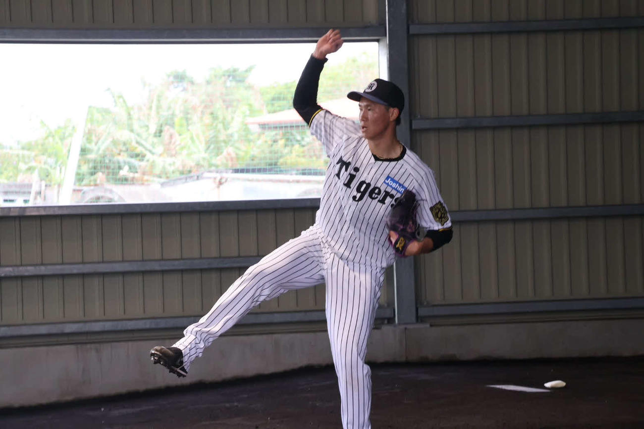 具志川キャンプでブルペン入りした阪神湯浅（撮影・山崎健太）