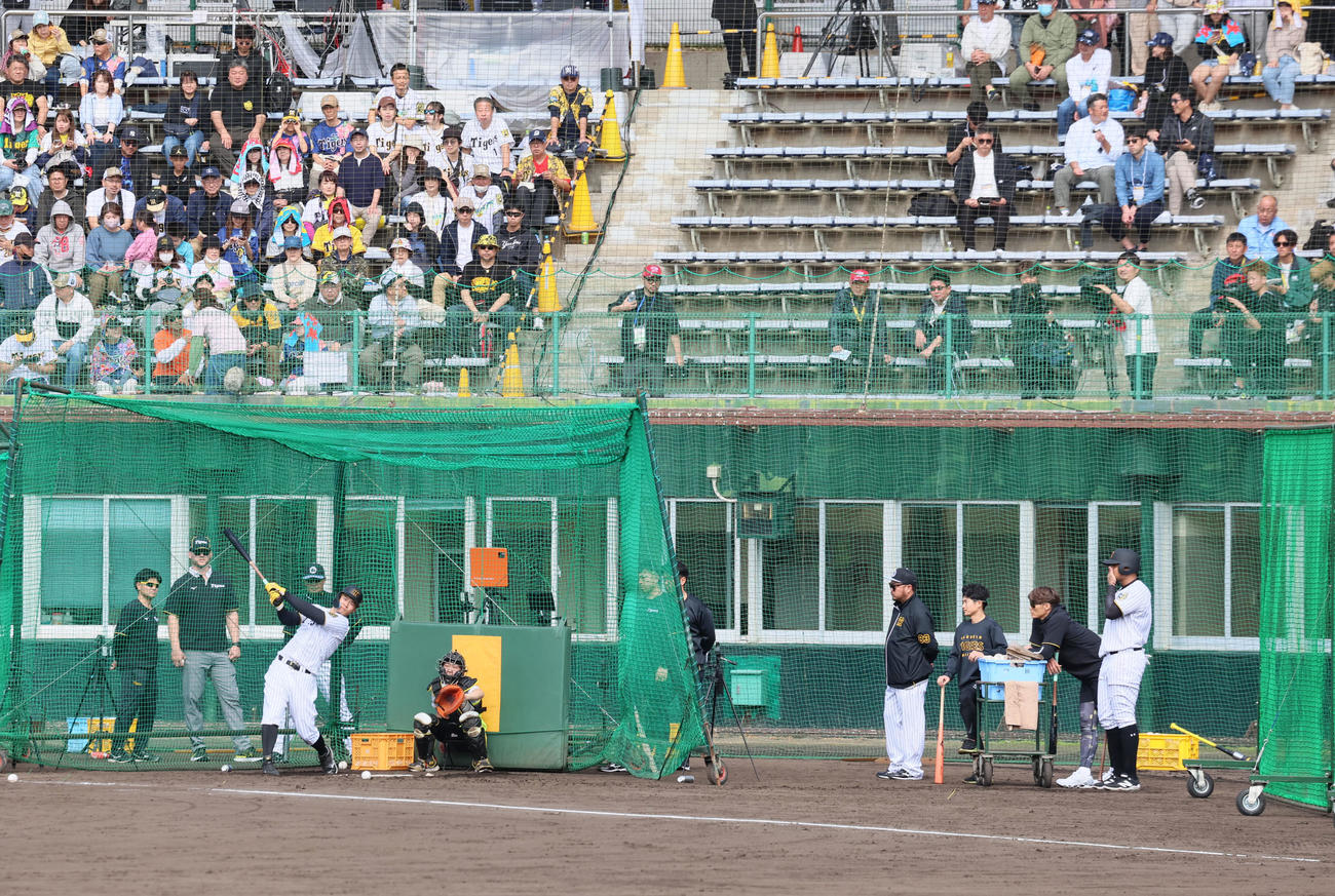 ランチ特打を行った佐藤輝(左）とヘルナンデス（撮影・加藤哉）