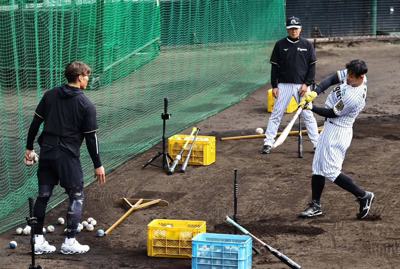 糸井臨時コーチ（左）の指導を受けた佐藤輝はクリケットバットで打撃練習をする（撮影・上田博志）