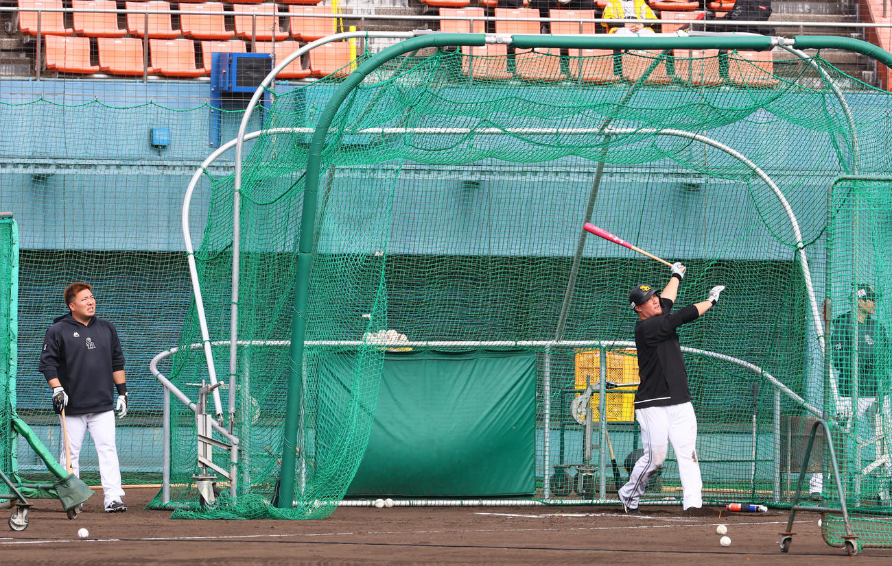 フリー打撃を行うリチャード、左は山川（撮影・梅根麻紀）