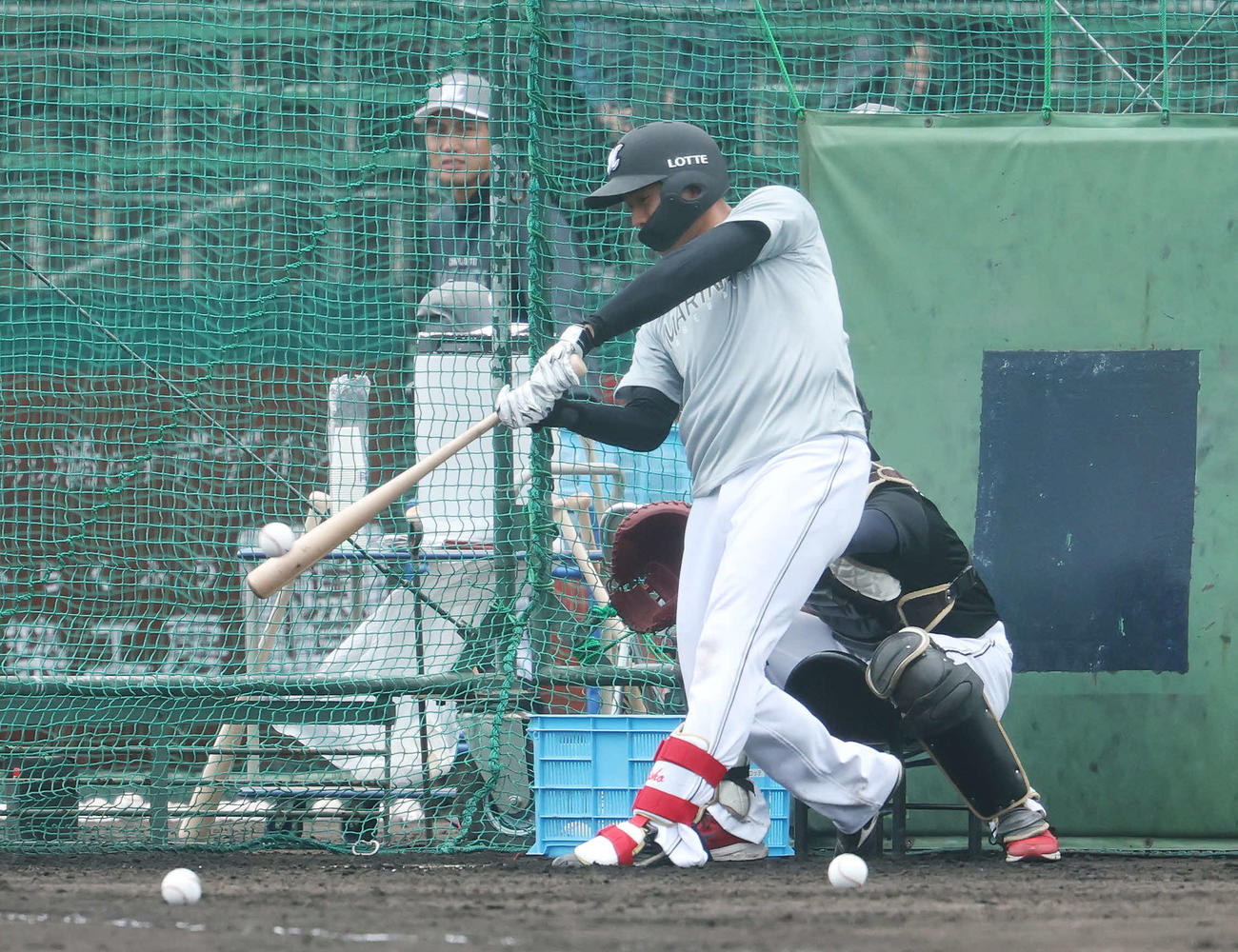 フリー打撃するロッテ西川（撮影・宮地輝）