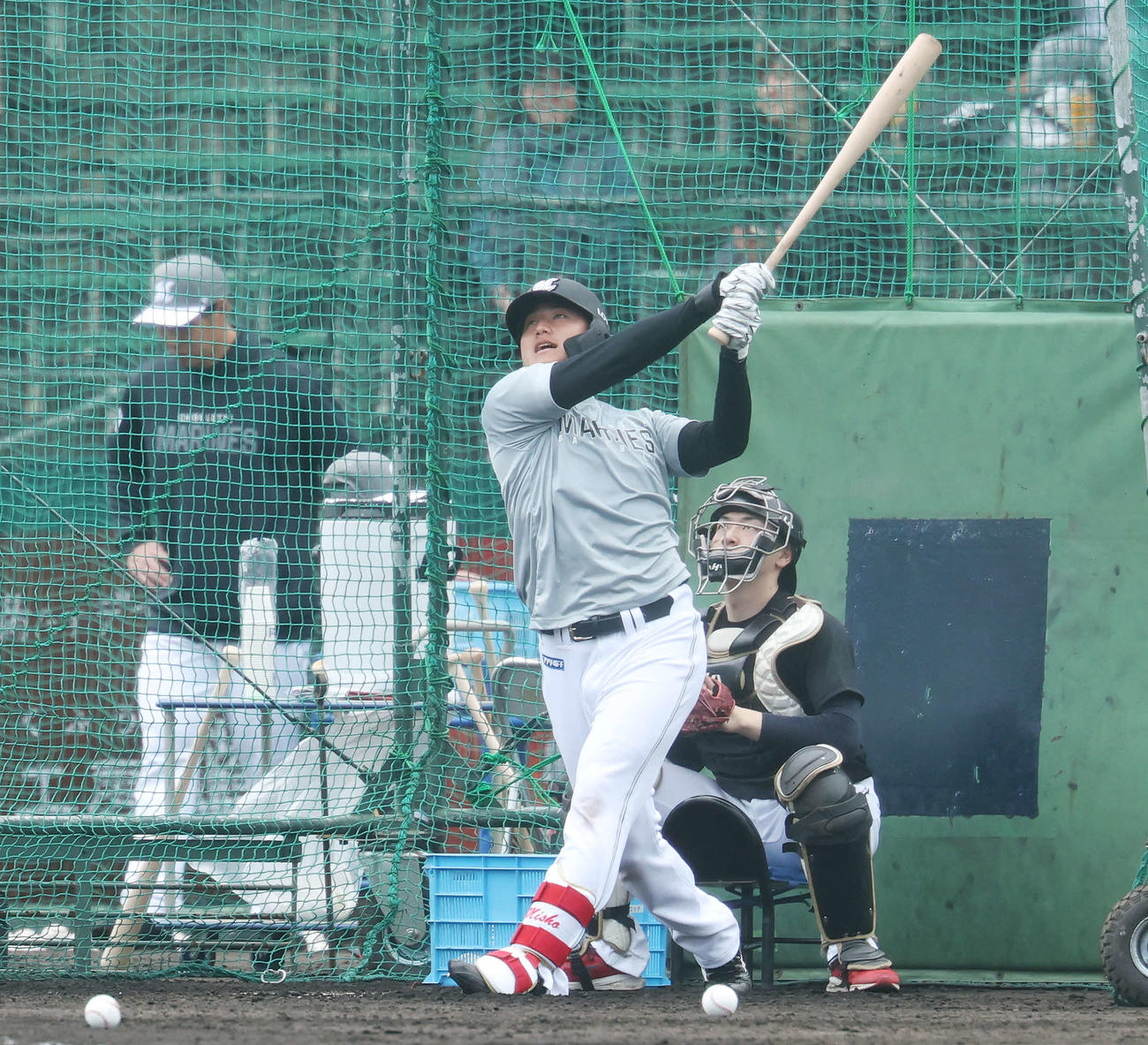 フリー打撃するロッテ西川（撮影・宮地輝）