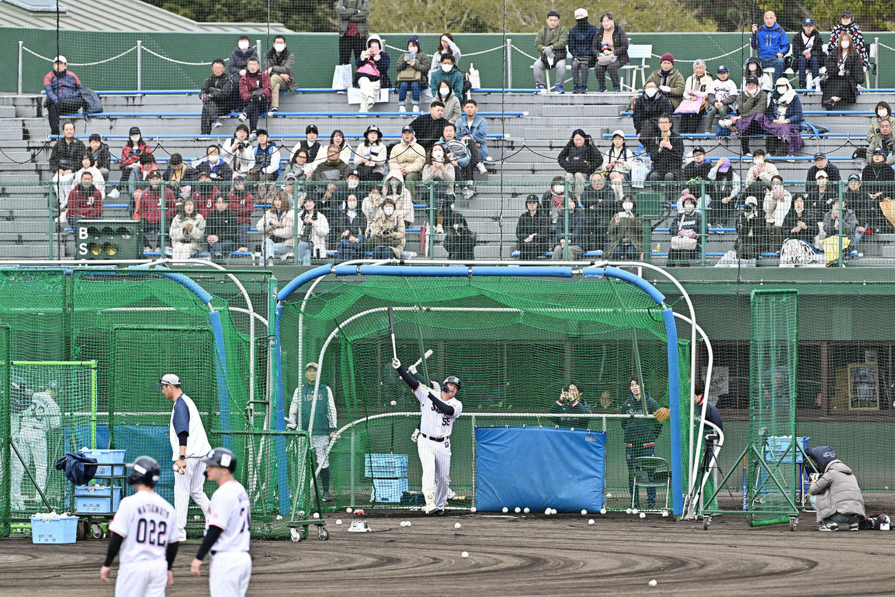ファンに見守られフリー打撃で本塁打を放つヤクルト村上（撮影・滝沢徹郎）