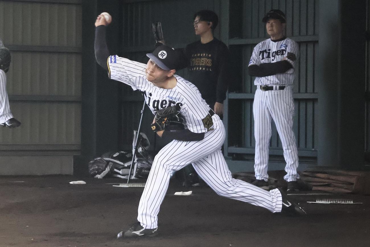 具志川キャンプのブルペンで投球を行う阪神早川（撮影・塚本光）