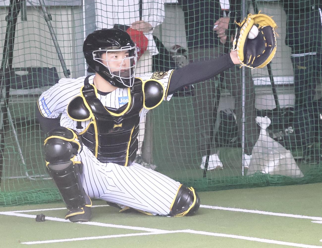 具志川キャンプのブルペンで阪神森木の投球を受ける嶋村（撮影・塚本光）