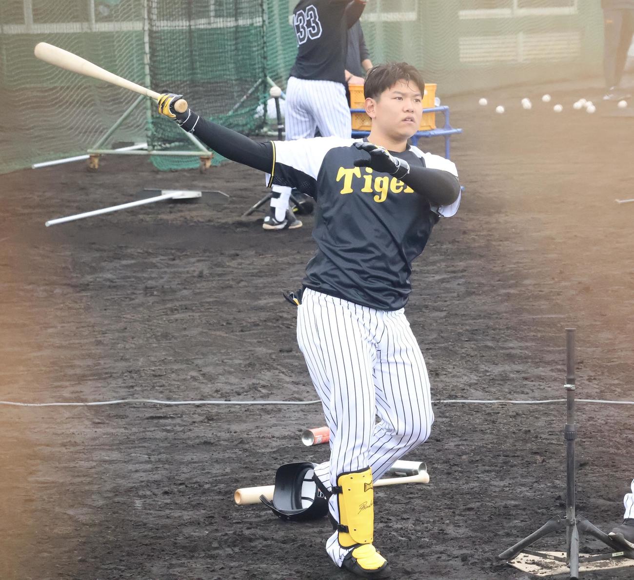 置きティーで打撃練習を行う阪神嶋村（撮影・塚本光）