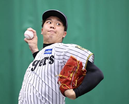 阪神】才木浩人ブルペン38球「真っすぐを良くしていく」藤川監督と投球