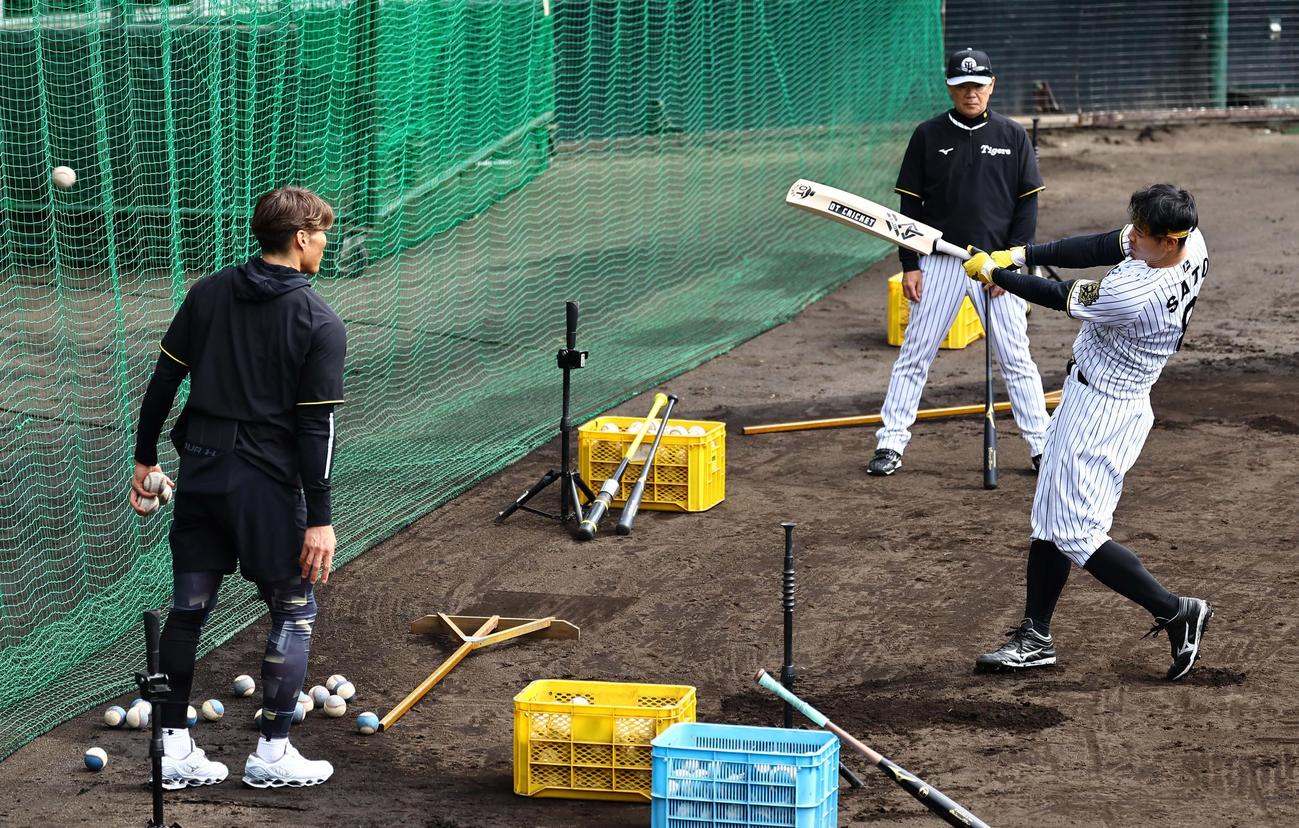 糸井臨時コーチ（左）の指導を受けた佐藤輝はクリケットバットで打撃練習をする（撮影・上田博志）