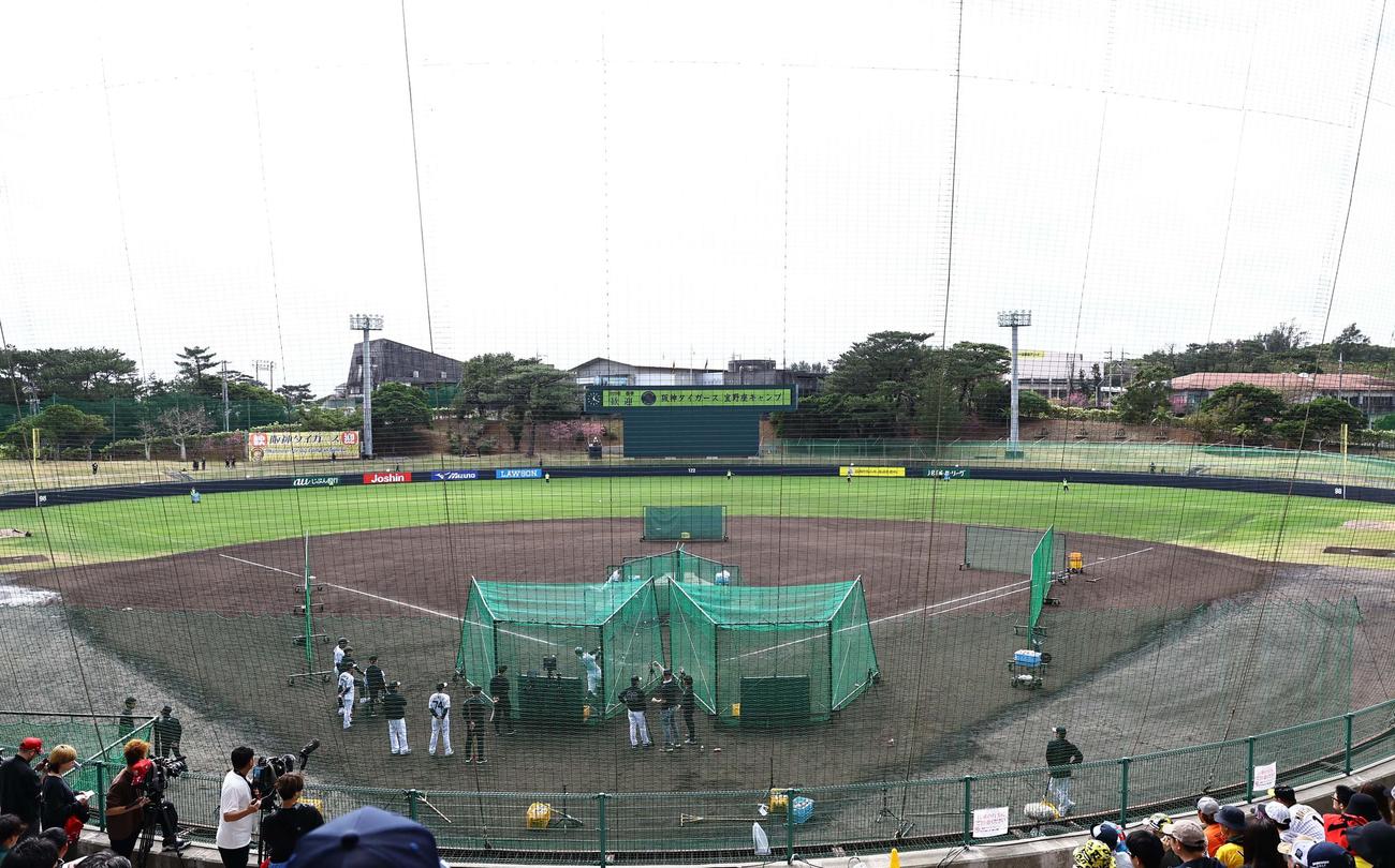 バイトするならエントリー宜野座スタジアムで打撃練習をする佐藤輝（撮影・上田博志）