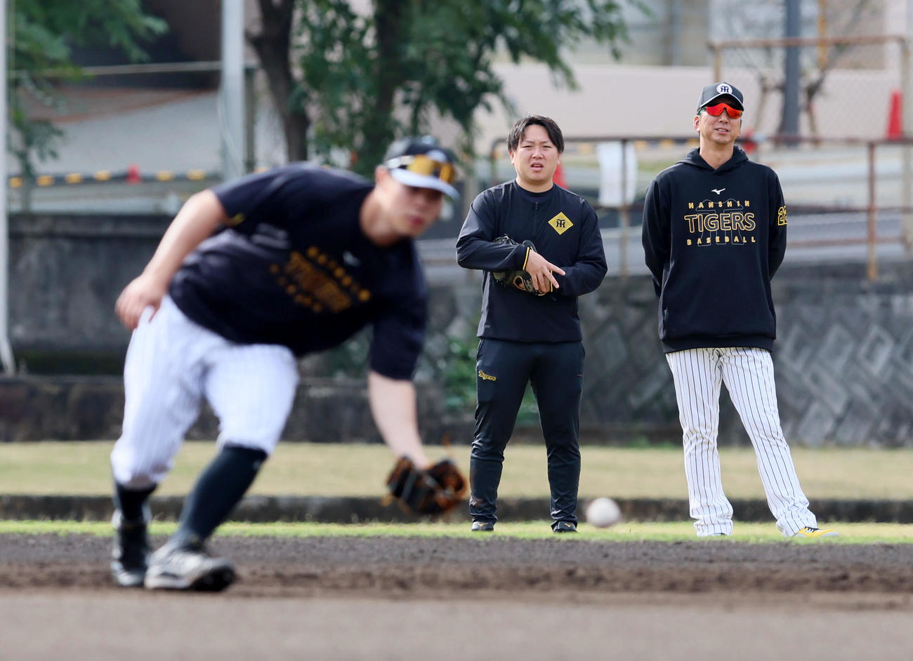 藤川監督は早出特守する佐藤輝を後方から見守る（撮影・加藤哉）