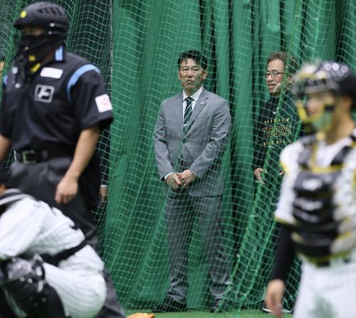 ブルペンで見学する侍ジャパン井端監督（撮影・藤尾明華）
