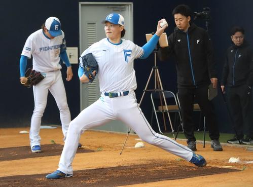 ブルペンで投球練習をする日本ハム山崎（撮影・永野高輔）
