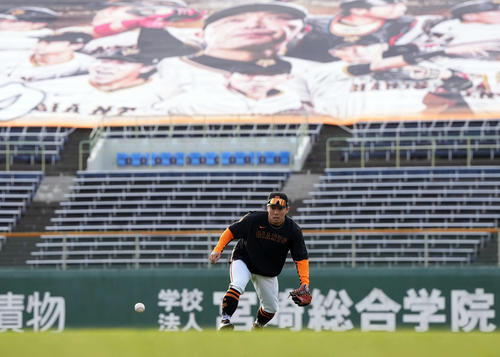 早出練習に参加しノックを受ける巨人浅野（撮影・たえ見朱実）