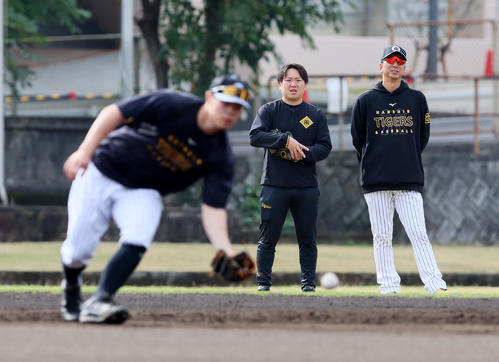 藤川監督は早出特守する佐藤輝を後方から見守る（撮影・加藤哉）