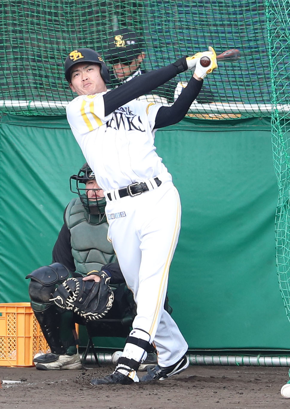 打撃練習をする佐藤航（撮影・梅根麻紀）