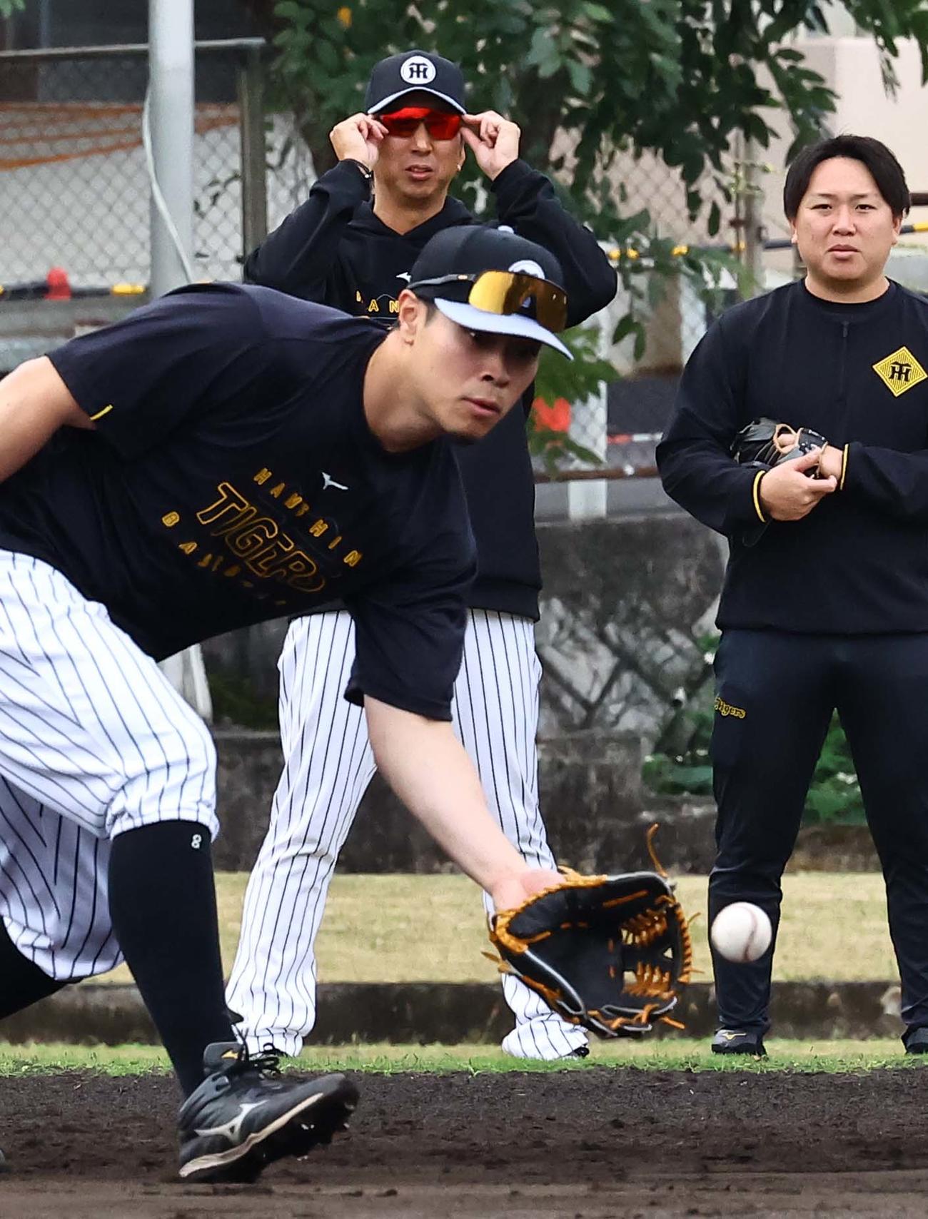 佐藤輝のノックを見守る藤川監督（撮影・上田博志）