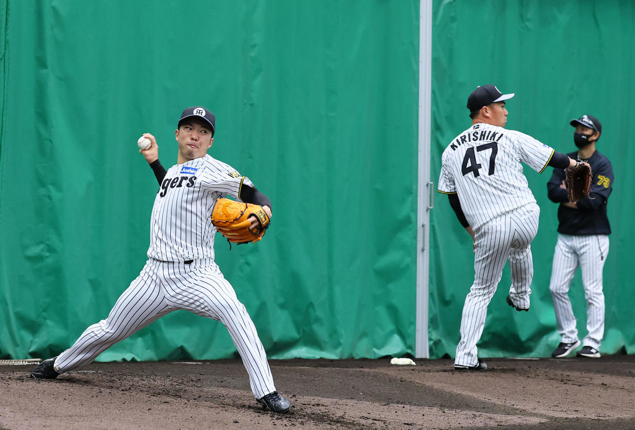 ブルペンで投球練習をする石井（左）と桐敷（撮影・藤尾明華）