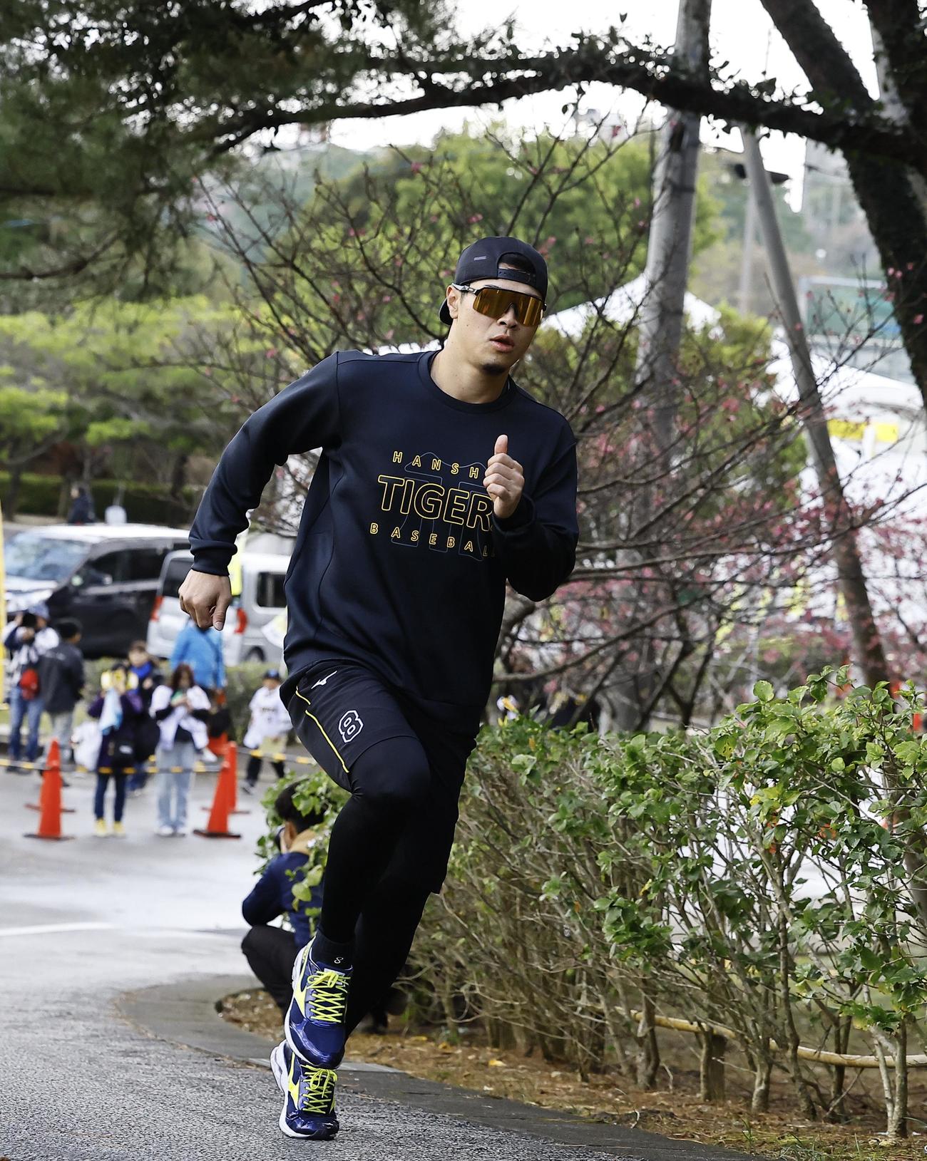 早出で坂道ダッシュする阪神佐藤輝（撮影・藤尾明華）