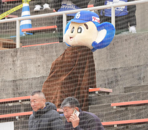 沖縄にも寒波が到来し寒そうなドアラ（撮影・森本幸一）