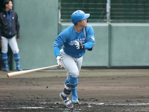 日本ハム紅白戦　3回に左越え本塁打を放つ今川（撮影・黒川智章）
