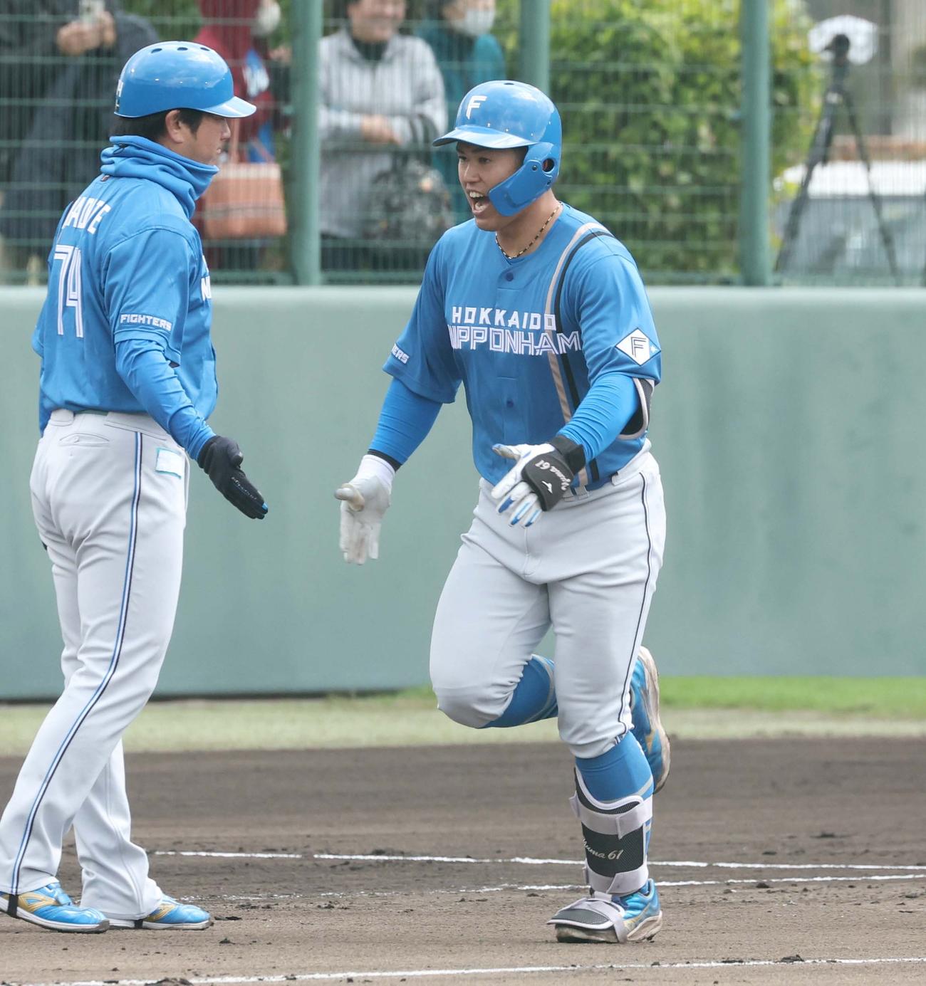 日本ハム紅白戦　3回に左越え本塁打を放ち叫ぶ今川（撮影・黒川智章）