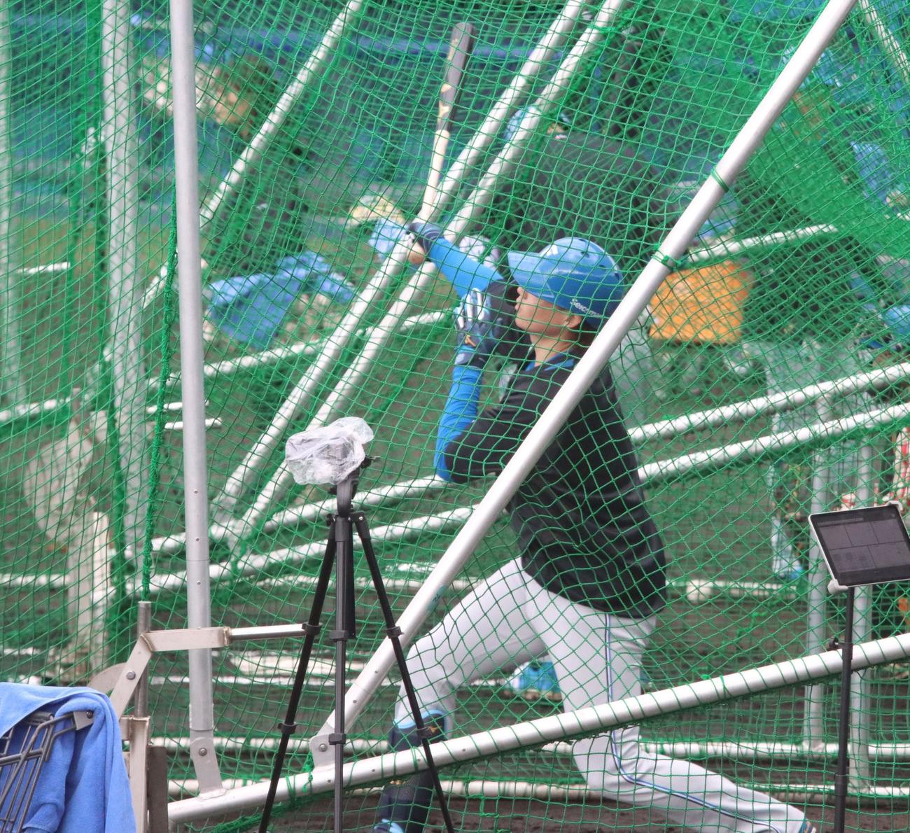 フリー打撃に励む日本ハム山崎（撮影・永野高輔）