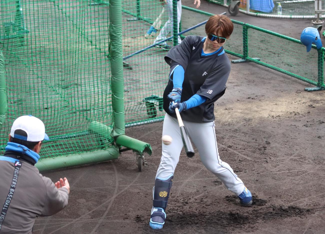 トス打撃に励む日本ハム山崎（撮影・永野高輔）