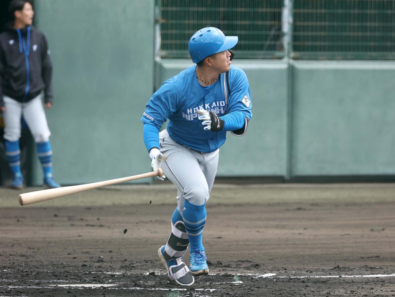 日本ハム紅白戦　3回に左越え本塁打を放つ今川（撮影・黒川智章）