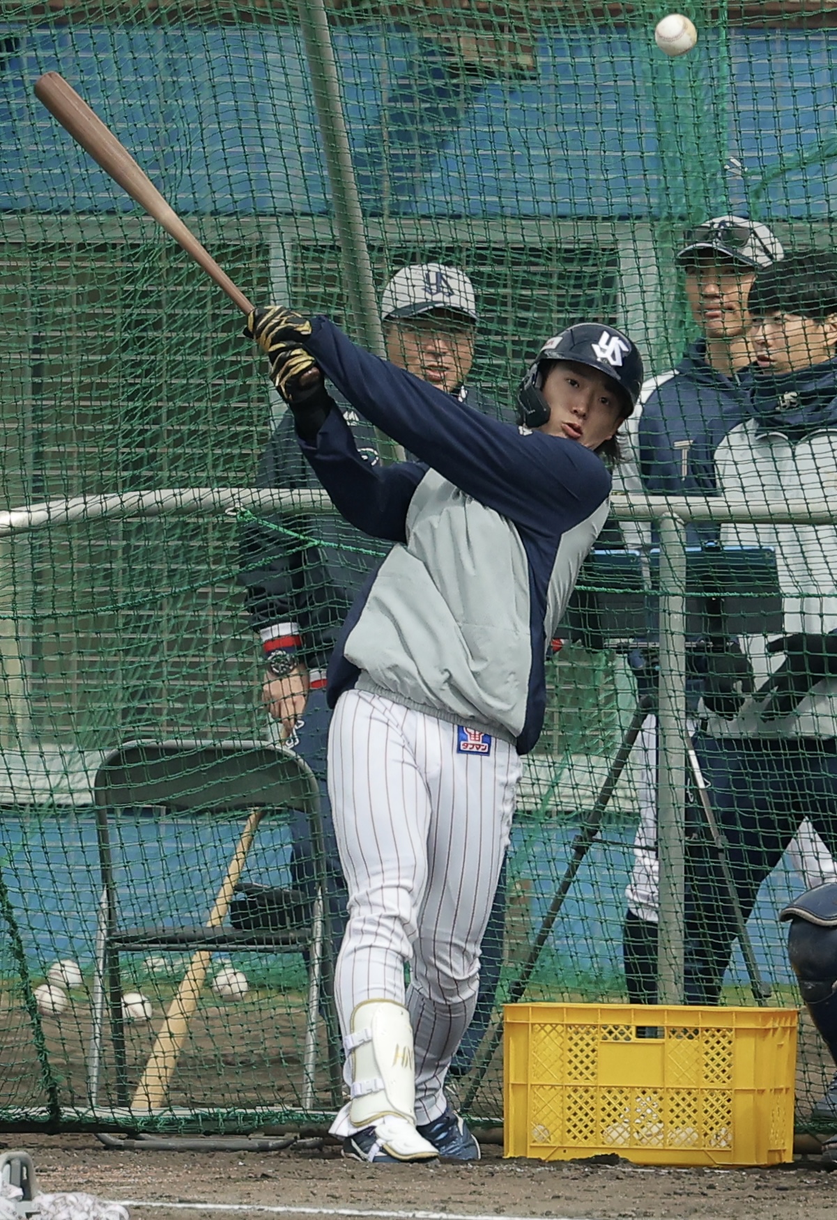 打撃練習するヤクルト長岡。後方左は真中氏（撮影・河田真司）