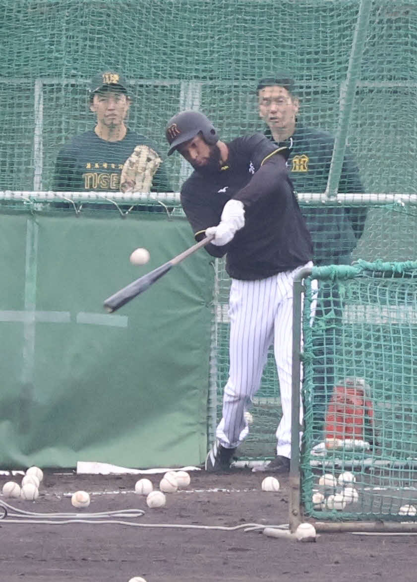具志川キャンプでフリー打撃を行った阪神コンスエグラ（撮影・塚本光）
