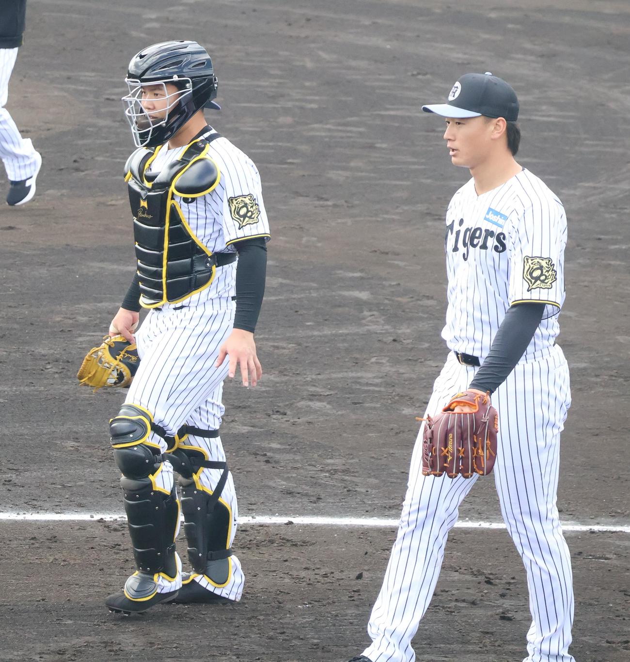 具志川キャンプでシート打撃後に並んで歩く阪神森木（右）と嶋村（撮影・塚本光）