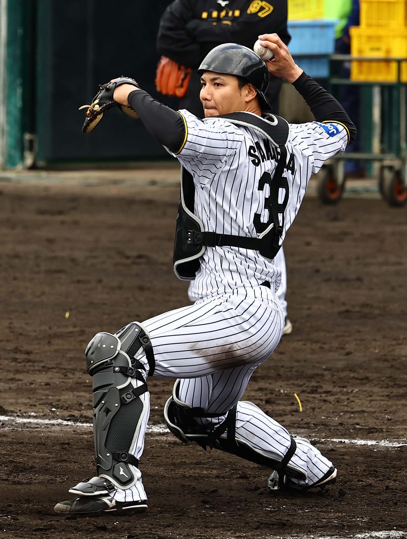 シートノックで三塁へ送球する栄枝（撮影・上田博志）