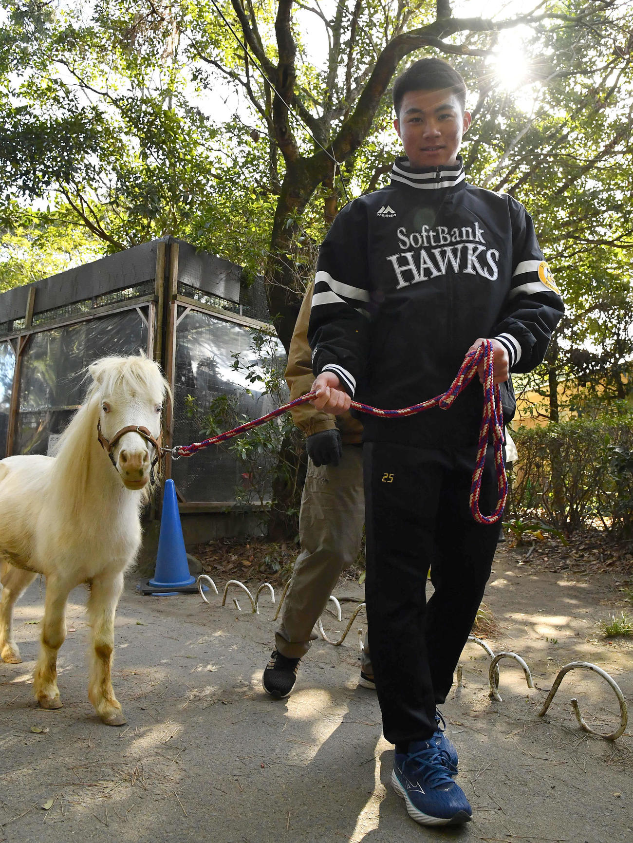 キャンプ休日新人体験でポニーの引馬トレーニングを行うソフトバンク庄子（撮影・岩下翔太）