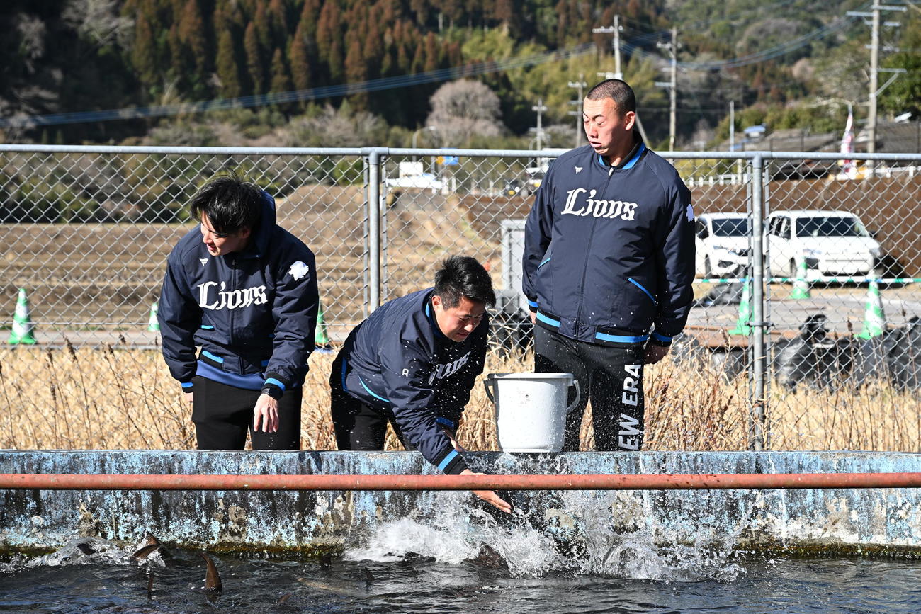 休日にチョウザメのえさやりをした西武の、左から上田、渡部聖、村田（撮影・滝沢徹郎）