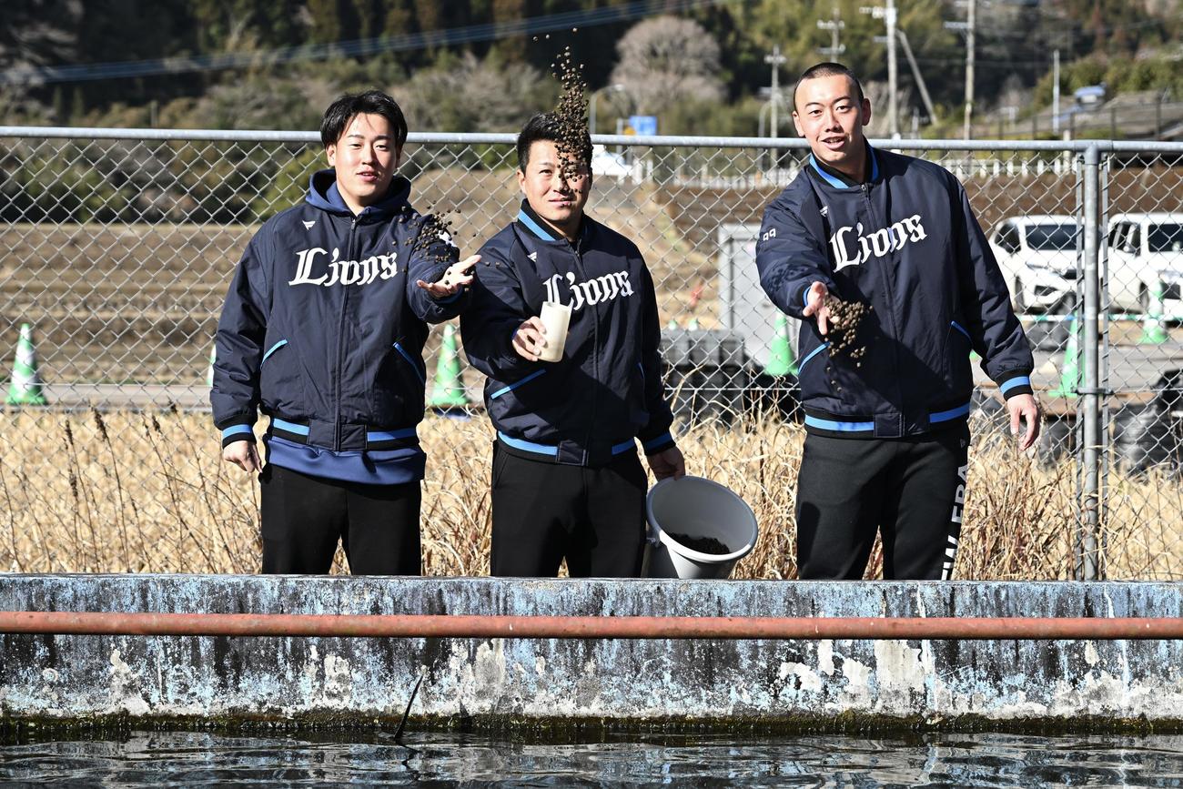 休日にチョウザメのえさやりをした西武の、左から上田、渡部聖、村田（撮影・滝沢徹郎）