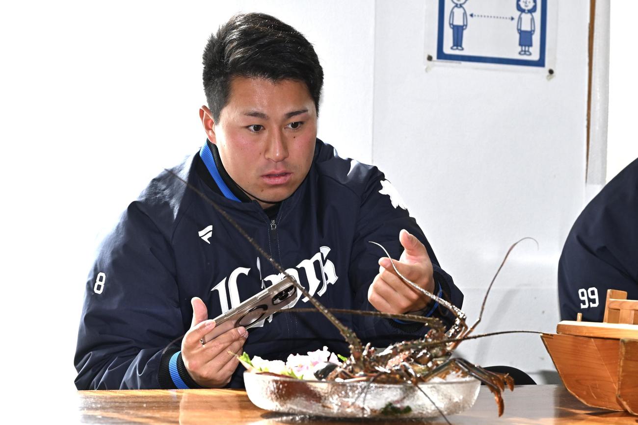 活け作りされた伊勢海老の触角に触れる西武渡部聖（撮影・滝沢徹郎）
